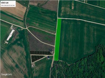 Vanzare teren 10.000 mp, Snagov - Ciolpani, padure, utilitati